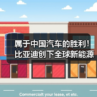 属于中国汽车的胜利！比亚迪创下全球新能源单月销量纪录（图4）