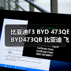 比亚迪F3 BYD 473QE BYD473QB 比亚迪 飞度 1.5 发动机（图4）