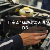 厂家2.4G玻璃钢天线10DB（图4）