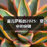 雷克萨斯的2025：坚守中的突破（图4）