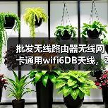 批发无线路由器无线网卡通用wifi6DB天线，2.4G无线传输**天线（图3）