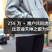 256 万 + 用户共同选择，比亚迪天神之眼为何成购车必选项？（图2）