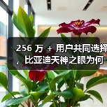 256 万 + 用户共同选择，比亚迪天神之眼为何成购车必选项？（图3）