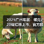 2025广州车展：领克Z20曜红版上市，官方限时价1（图2）