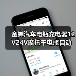 金蝉汽车电瓶充电器12V24V摩托车电瓶自动智能修复蓄电池充电机（图2）
