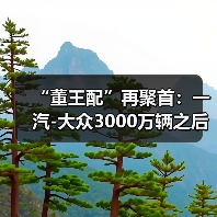 “董王配”再聚首：一汽-大众3000万辆之后的“加速度”（图2）