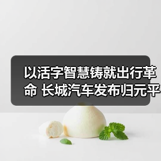 以活字智慧铸就出行革命 长城汽车发布归元平台（图1）