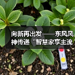 向新再出发——东风风神传递“智慧家享主流品牌”（图3）