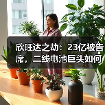 欣旺达之劫：23亿被告席，二线电池巨头如何被时代卡住喉咙？（图1）