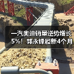 一汽奥迪销量逆势增长5%！郭永锋履新4个月重返豪华榜首（图2）