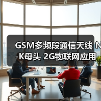 GSM多频段通信天线 N-K母头 2G物联网应用（图3）