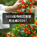 2025车市格局重塑，谁将主宰2026？