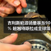 吉利新能源销量暴涨90% 超越特斯拉成全球领头羊(图4) 吉利新能源销量暴涨90% 超越特斯拉成全球领头羊(图4)