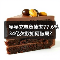 星星充电负债率77.6% 34亿欠款如何破局?(图4) 星星充电负债率77.6% 34亿欠款如何破局?(图4)