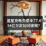 星星充电负债率77.6% 34亿欠款如何破局?(图3) 星星充电负债率77.6% 34亿欠款如何破局?(图3)