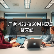 厂家 433/868MHZ弹簧天线（图3）