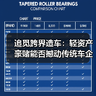 追觅跨界造车:轻资产豪赌能否撼动传统车企?(图4) 追觅跨界造车:轻资产豪赌能否撼动传统车企?(图4)