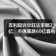 吉利起诉欣旺达索赔23亿,市值暴跌60亿真相曝光(图4) 吉利起诉欣旺达索赔23亿,市值暴跌60亿真相曝光(图4)