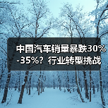 中国汽车销量暴跌30%-35%?行业转型挑战(图4) 中国汽车销量暴跌30%-35%?行业转型挑战(图4)
