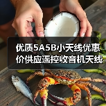 优质5A5B小天线优惠价供应遥控收音机天线（图1）
