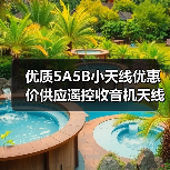 优质5A5B小天线优惠价供应遥控收音机天线（图3）