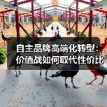 自主品牌高端化转型：价值战如何取代性价比？（图2）