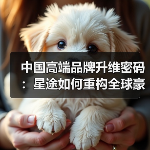 中国高端品牌升维密码：星途如何重构全球豪华标准（图1）
