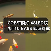 COB车顶灯 48LED双尖T10 BA9S 阅读灯车顶灯（图1）