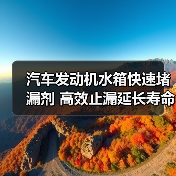 汽车发动机水箱快速堵漏剂 高效止漏延长寿命（图4）