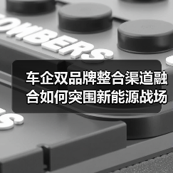 车企双品牌整合渠道融合如何突围新能源战场？（图2）