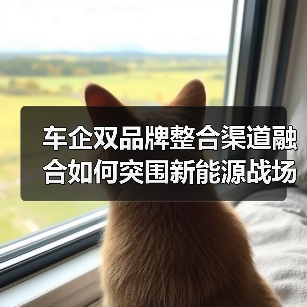 车企双品牌整合渠道融合如何突围新能源战场？（图1）