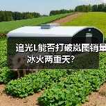 追光L能否打破岚图销量冰火两重天？（图4）