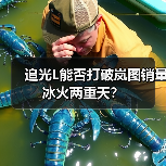 追光L能否打破岚图销量冰火两重天？（图2）