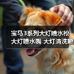 宝马3系列大灯喷水枪 大灯喷水嘴 大灯清洗喷水器 61677179311（图1）
