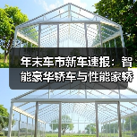 年末车市新车速报：智能豪华轿车与性能家轿领航（图1）