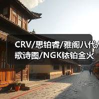 CRV/思铂睿/雅阁八代/歌诗图/NGK铱铂金火花塞ILZKR7B-11S 5787