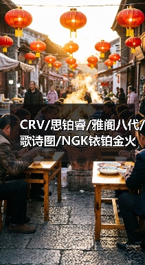 CRV/思铂睿/雅阁八代/歌诗图/NGK铱铂金火花塞ILZKR7B-11S 5787（图3）
