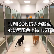 吉利ICON巧克力新车心动紫配色上线 1.5T动力亮点解析（图2）