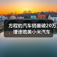 方程豹汽车销量破20万，增速媲美小米汽车（图4）