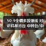 50-9全铜多股馈线 对讲机基地台 中转台/中继台连接线 工程馈线（图2）