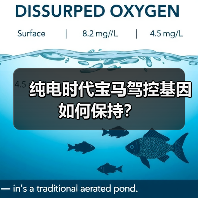 纯电时代宝马驾控基因如何保持？（图1）