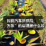 智能汽车新棋局，“华为系”的启境是什么段位？（图1）