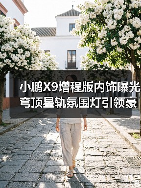小鹏X9增程版内饰曝光 穹顶星轨氛围灯引领豪华新体验（图3）