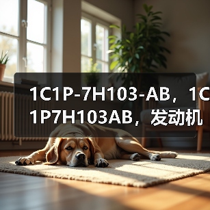 1C1P-7H103-AB，1C1P7H103AB，发动机曲轴位置传感器转速传感器（图2）