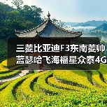 三菱比亚迪F3东南菱帅蓝瑟哈飞海福星众泰4G184G15发动机总成（图2）