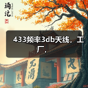 433频率3db天线，工厂，（图4）