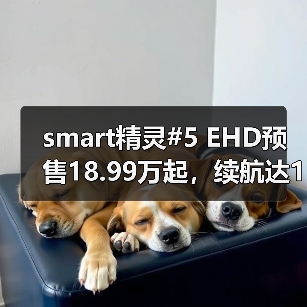 smart精灵#5 EHD预售18.99万起,续航达1600km性能如何?(图3) smart精灵#5 EHD预售18.99万起,续航达1600km性能如何?(图3)