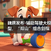 魏牌发布-辅助驾驶大模型，“双山”组合剑指高端！
