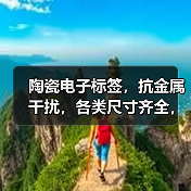 陶瓷电子标签，抗金属干扰，各类尺寸齐全，可定制（图3）