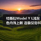 特斯拉Model Y L浅灰色内饰上新 选装仅需8000元（图4）